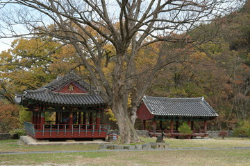 Fototapeta na wymiar Ssanggyesa Buddhist Temple of South Korea