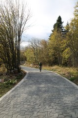 Ataturk Arboretum Botanic Park in Istanbul