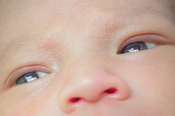 Portrait of cute Asian baby, concept create newborn, selective focus at the eyes.