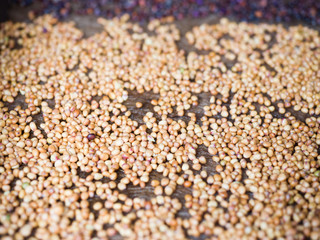 Seeds of cultivated plants. Close-up. Living Natural Nutrition Supplements