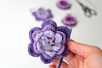 Needlework. Beautiful knitted flowers. Crochet. Violets. Purple flowers.
