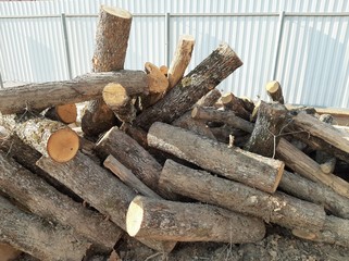 A pile of firewood harvested for heating the house in winter