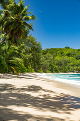 Fototapeta na wymiar paradise beach in seychelles