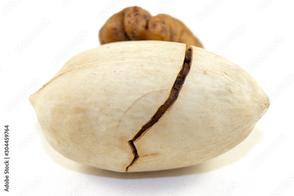 Wall mural Pecans on a white background