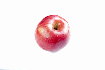 Red ripe apple