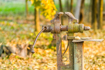 Rusty steel clamps in the nursery