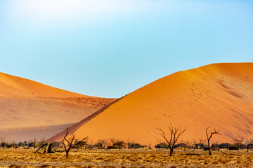 Fototapeta na wymiar the dune 45 in Namibia, Africa