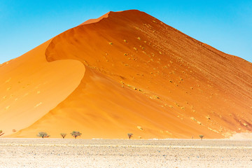 the dune 45 in Namibia, Africa
