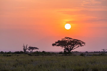 sunset in africa