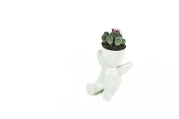 Ceramic decorative art pot with plant , floral or cactus. Eco friendly figure for plants on isolated white background
