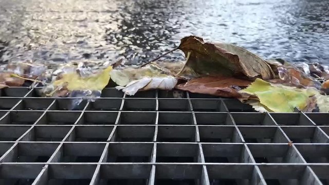 Water flowing in rain gutter with autumn leaves
