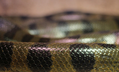 Schlangenmuster, Schlangenhaut, Schlangenschuppen