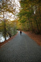 Fototapeta premium traveller women walking on road in the forest