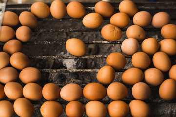 Grilled eggs , Thai style street food