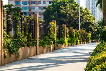 Fence of metal and concrete entwined with ivy