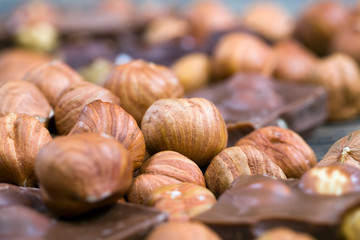 hazelnuts inside chocolate