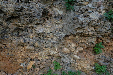 Rock washed out by the sea with pebbles inside