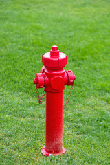 Fire Hydrant Lawn