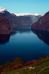 Mountain landscape with fjord