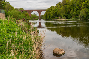 Fototapeta na wymiar The shore of the River Eden, seen from Wetheral, Cumbria, England, UK