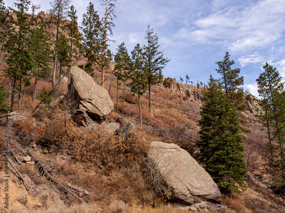 Wall mural los alamos trail 2