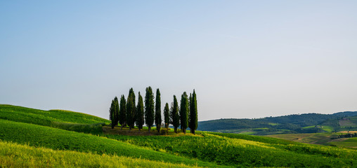 Obraz premium Tuscany rural sunset landscape. Countryside farm, cypresses trees, green field, sun light and cloud. Italy, Europe.