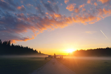 Attractive misty pasture in the sunlight. Locations place Durmitor National park, village Zabljak, Montenegro.