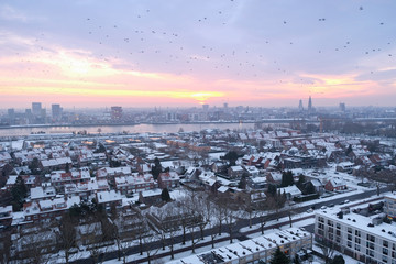 Fototapeta na wymiar Antwerp from above in the winter with a nice skyline