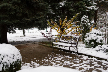 Bench in the Park. First snow. Trees in November.