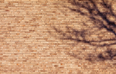 brick wall texture background on day noon light