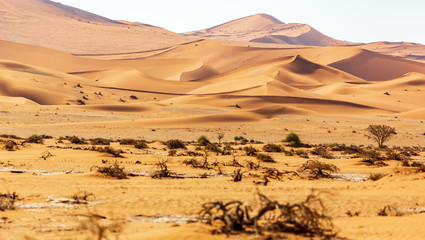  Amazing landscape of sossusvlei in Namibia, Africa