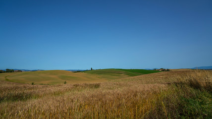 Sunny fields in Tuscany, Italy. Vintage tone filter effect with noise and grain.