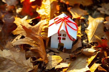 House on the autumn leaves.