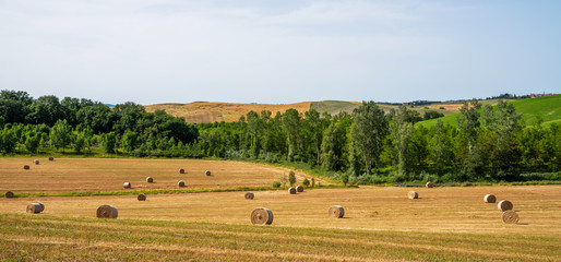 Obraz premium Beautiful landscape in Tuscany, Italy. Sunny fields. Agricultural area with wheat fields.
