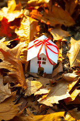 House on the autumn leaves.