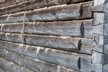 Not forced grey background old log.