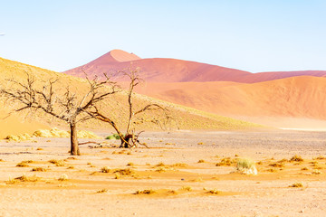 Fototapeta na wymiar Amazing landscape of sossusvlei in Namibia, Africa
