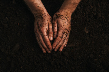 partial view of dirty farmer hands on ground