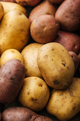 organic raw potatoes on white background