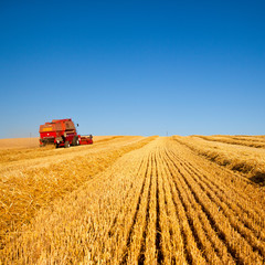 Obraz premium Moissonneuse dans les champs de blé en France