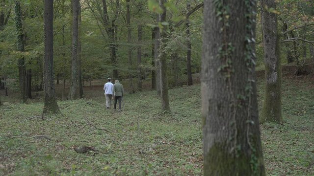  two friends walking into deep green woods, High tress and open paddock. One in blue jeans jacket, other in hacky green sportswear. S-log ungraded