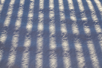 thin and long striped shadows