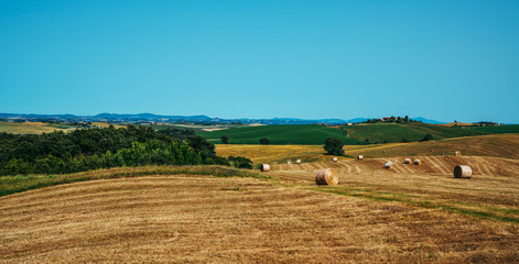 Beautiful landscape in Tuscany, Italy. Sunny fields. Agricultural area with wheat fields.