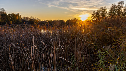 Fototapeta premium Sunset