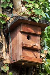 Ein hölzerner Nistkasten für Singvögel hängt gut getarnt an einem Baumstamm