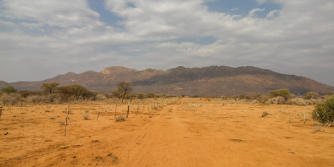 Weites, trockenes Buschland mit gelbem Sand und Bergkette im zentralen Namibia, Afrika