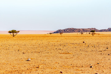 The desert of Namibia, Africa