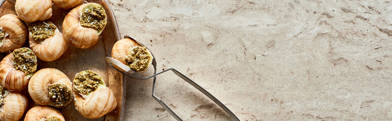 top view of delicious cooked escargots on plate with tweezers on stone background, panoramic shot