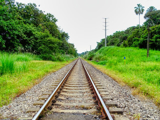 Fototapeta premium Gleise gerade Zuggleis in die Ferne