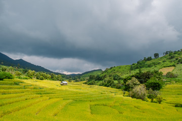 landscape view of rice terraces field in the valley